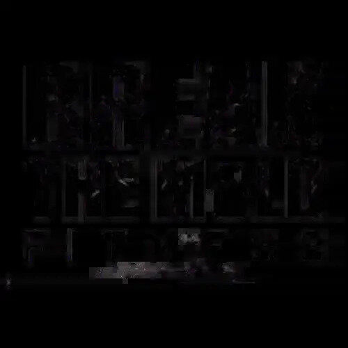 Break the Mold Fitness