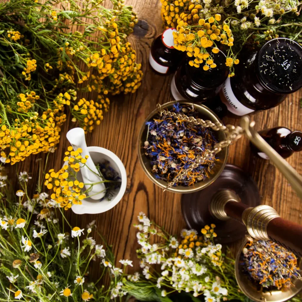 Harmony Total Wellness