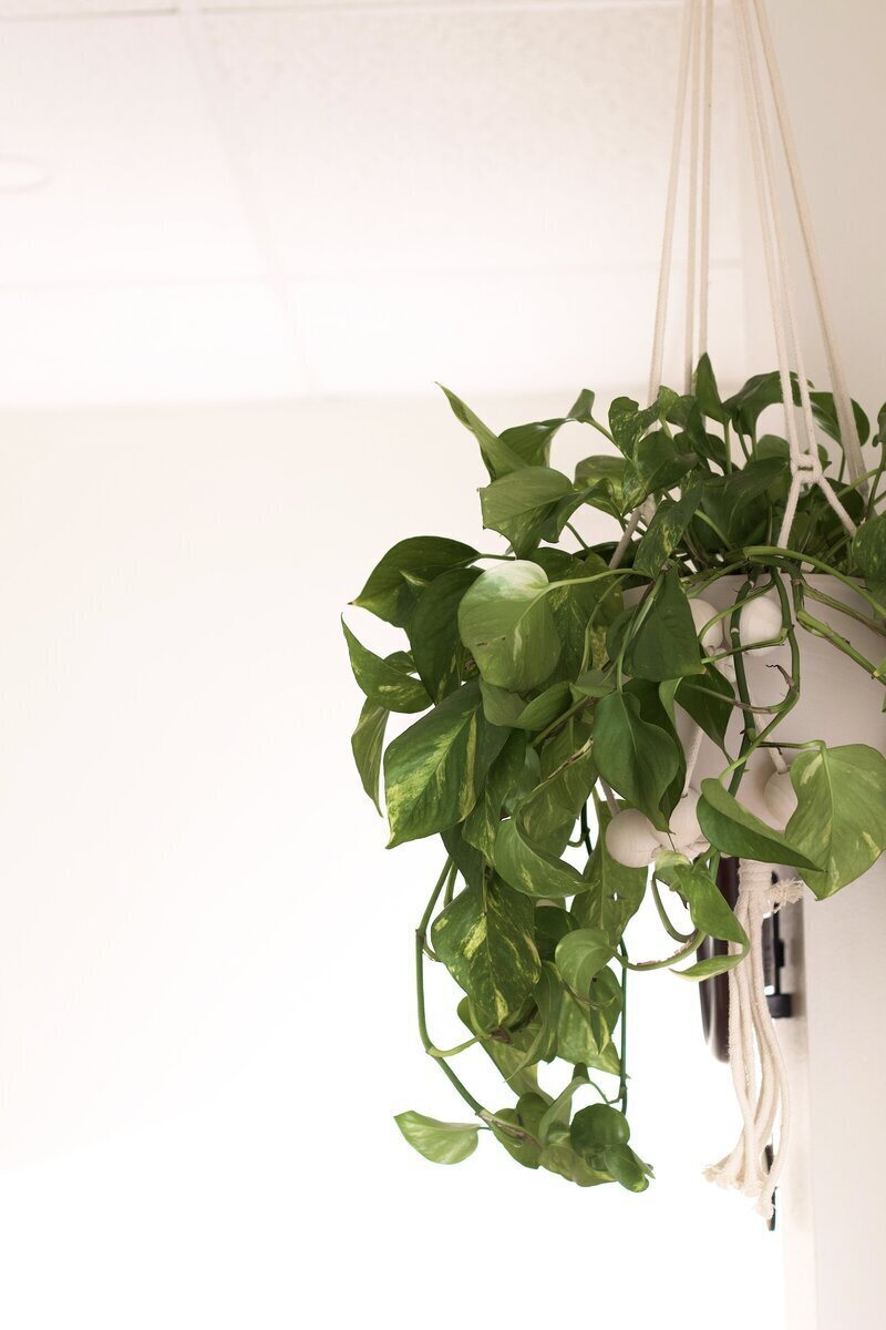 Harmony Yoga And Wellness