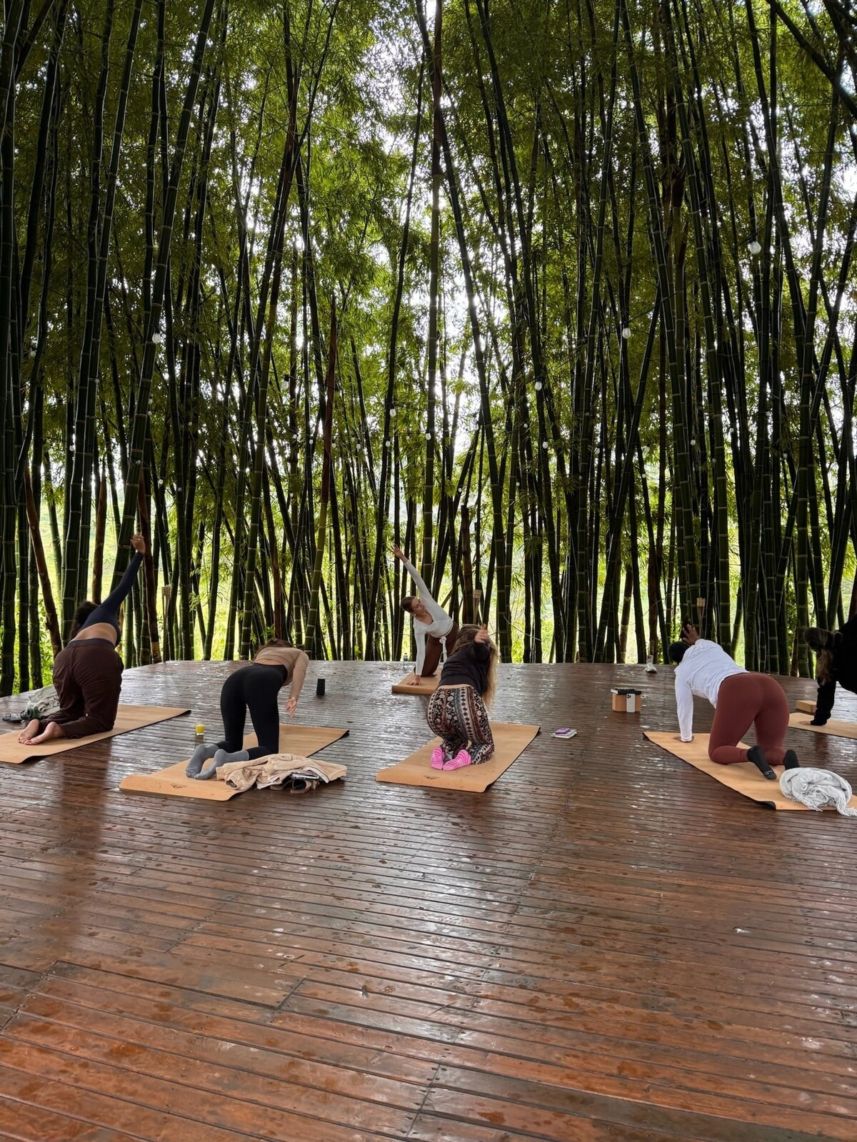 Rachel Farmer Wellness