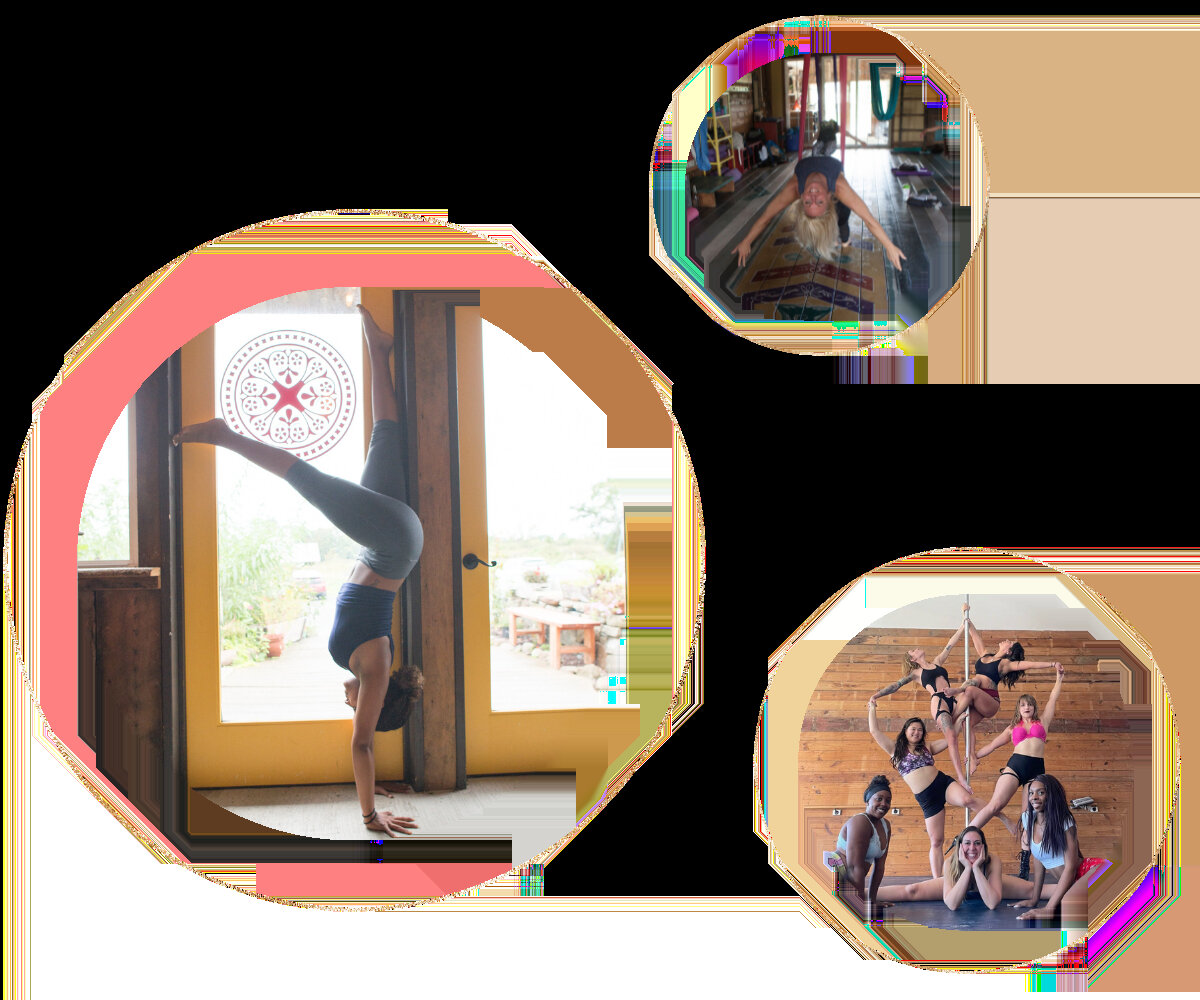 The Body Art Barn