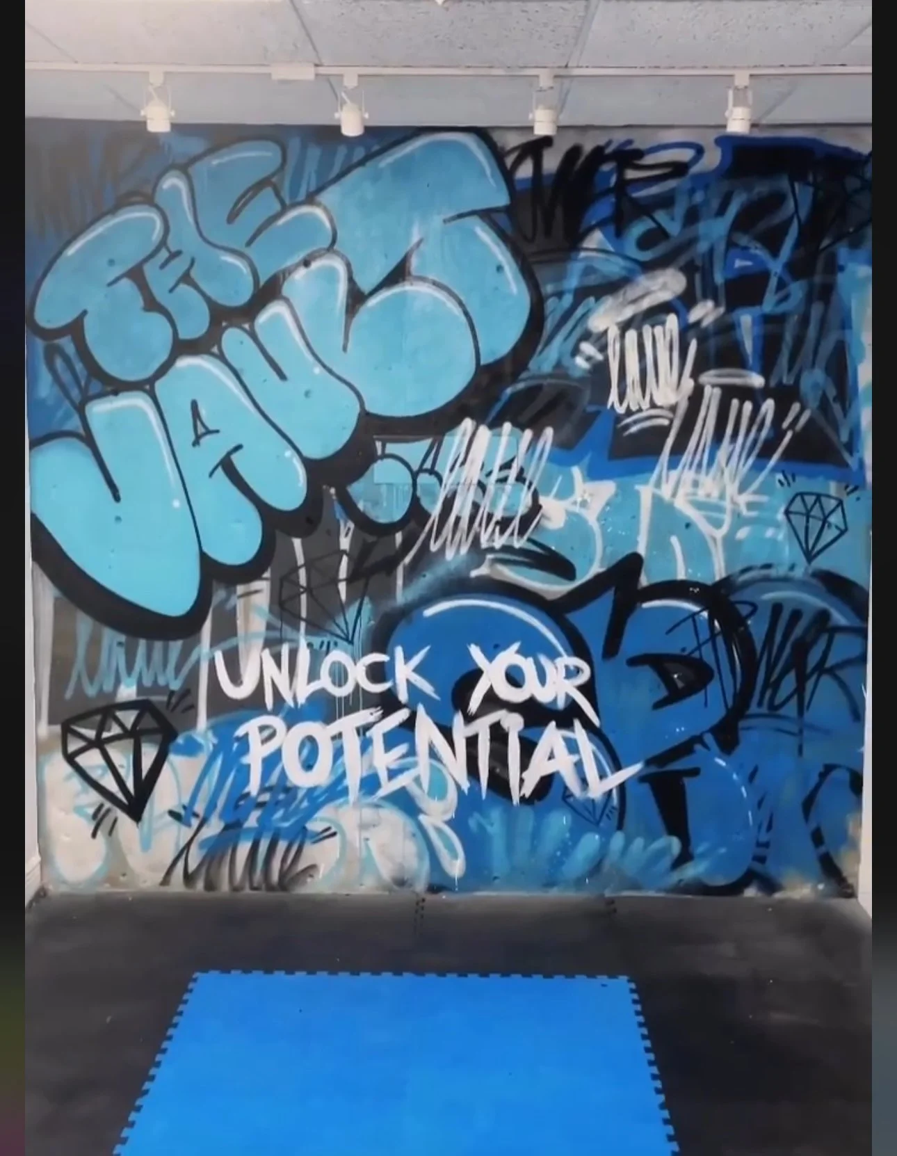 The Vault Strength and Fitness