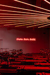 Rostudios: Rotterdam