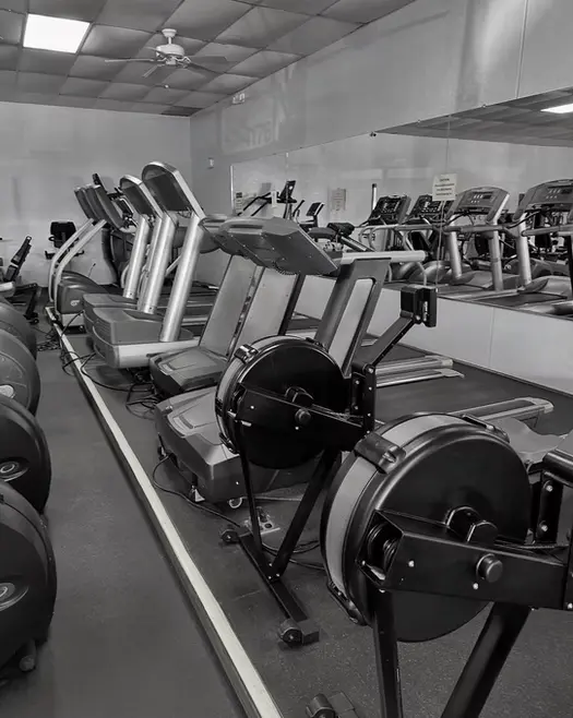Nautilus Fitness LLC