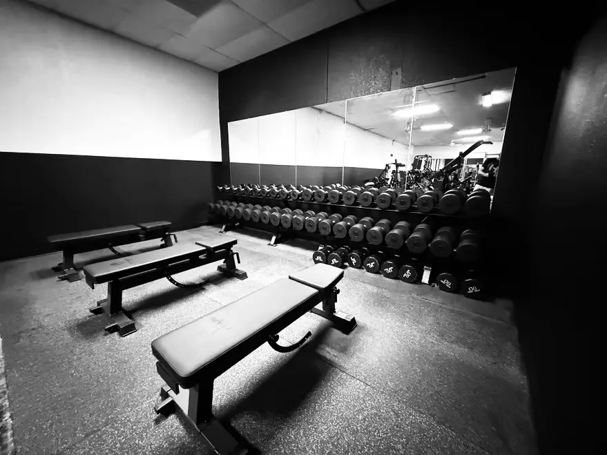 Nautilus Fitness LLC