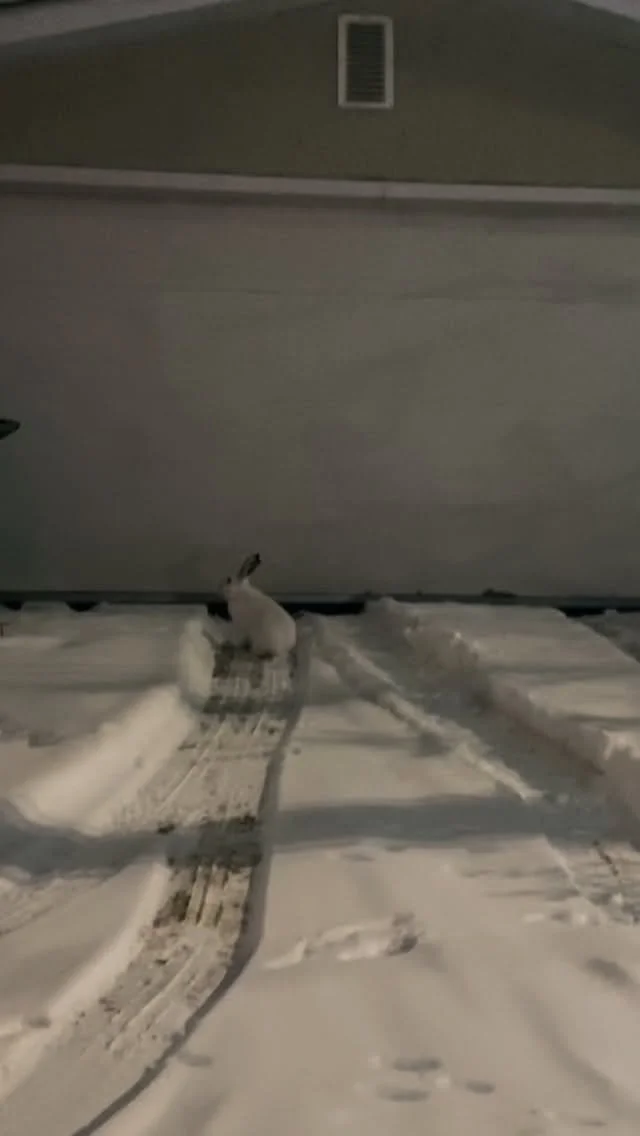 Runaway Workout Club