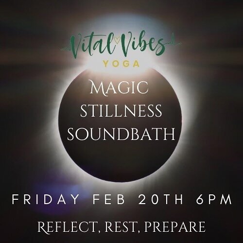 Vital Vibes Yoga & Wellness