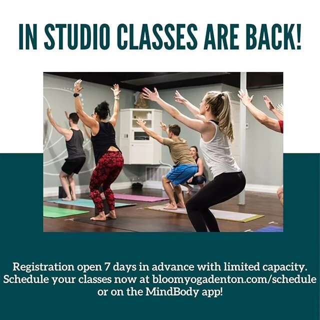 Bloom Yoga-Denton