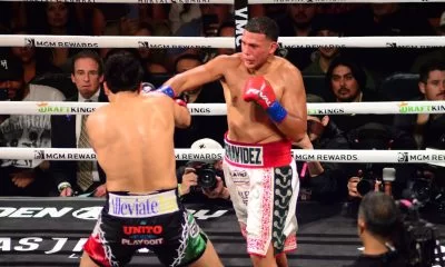 Sweet Science Boxing