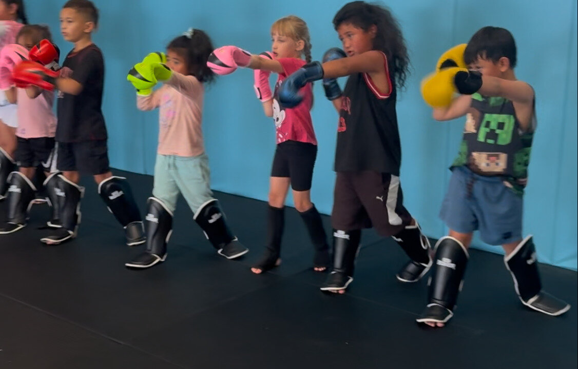 The Shinobi Academy