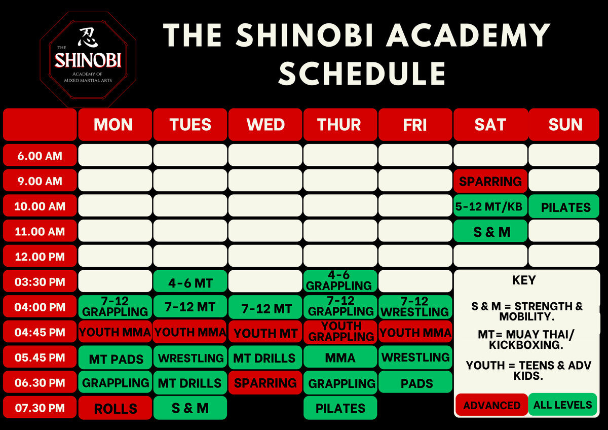The Shinobi Academy