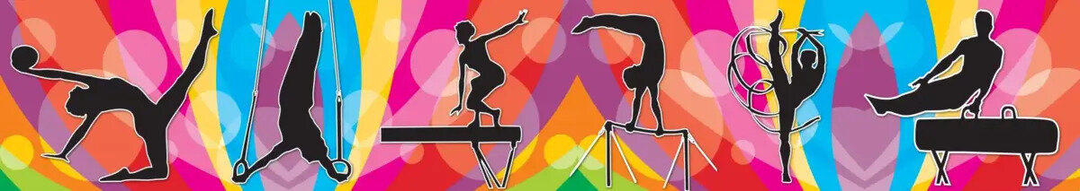Leader Gymnastics