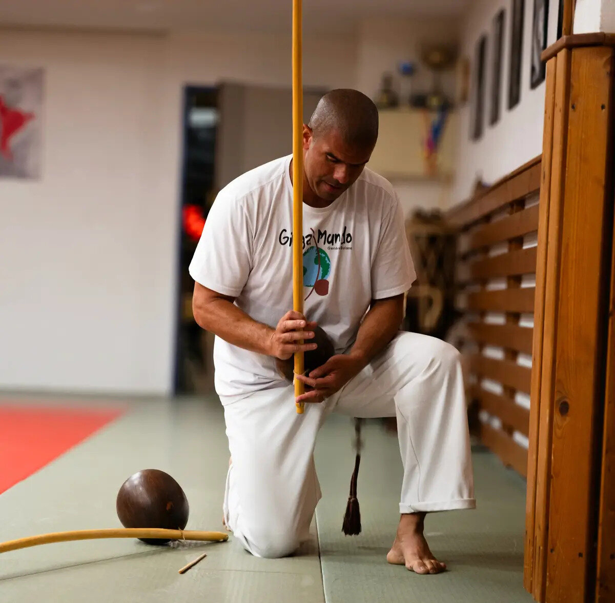 Shin Budo