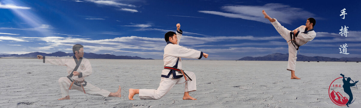 Wasatch Martial Arts Academy