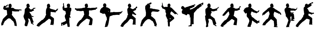 Wasatch Martial Arts Academy