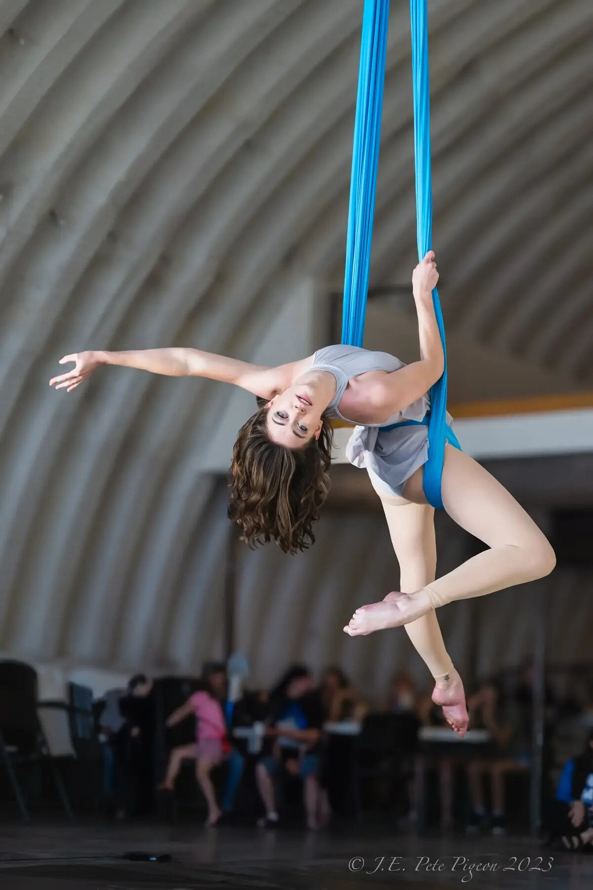 Inspired Aerial Arts