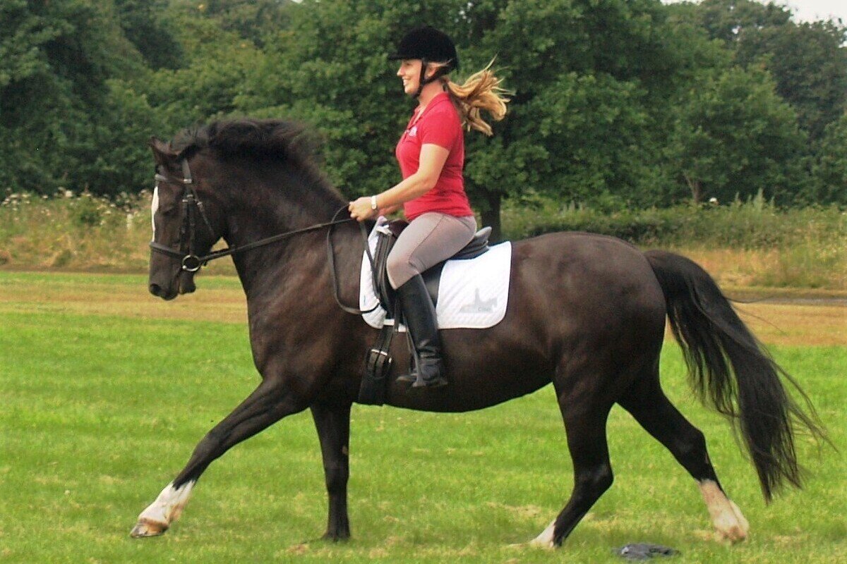 Equicise