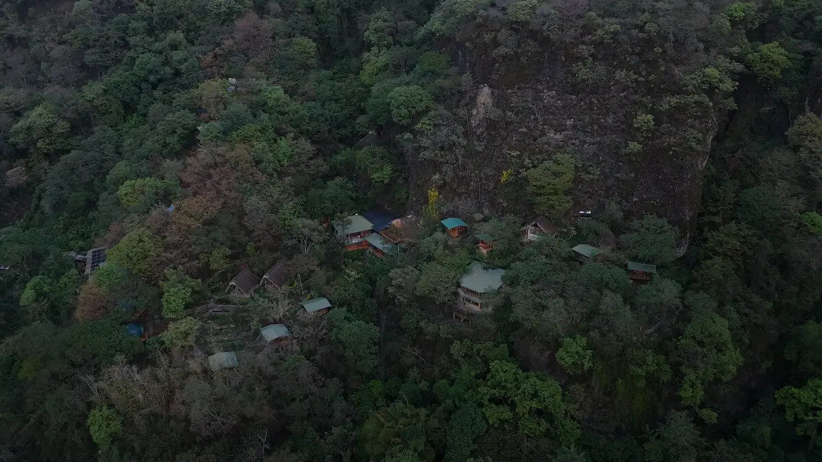 Kawoq Forest