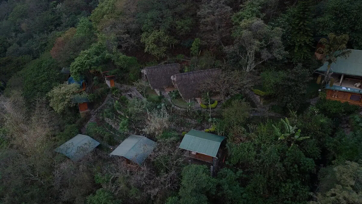 Kawoq Forest