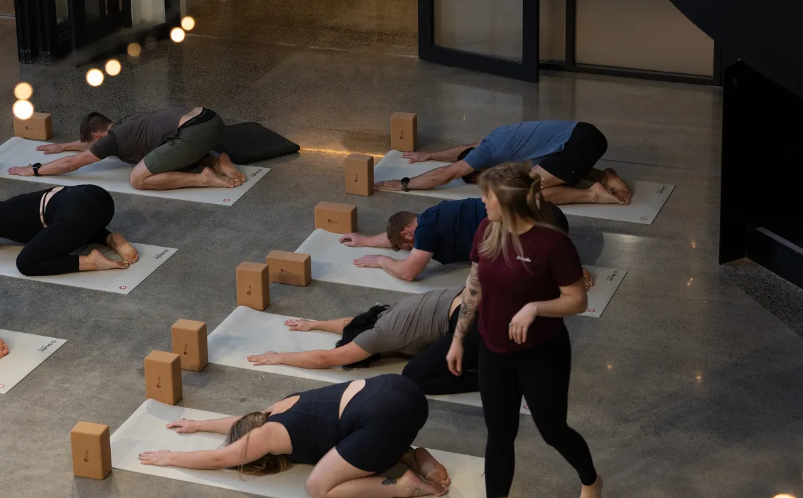 O-Studio Hawke's Bay