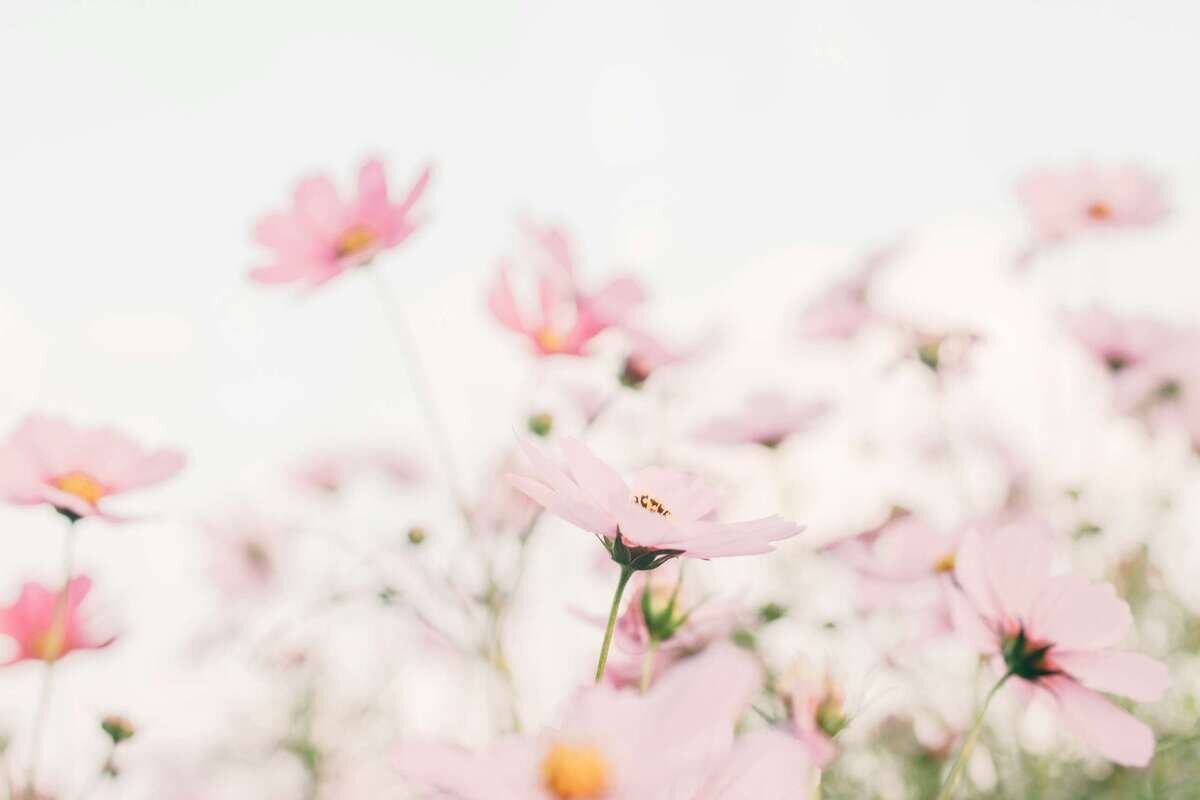 Original Hot Yoga Abbotsford 