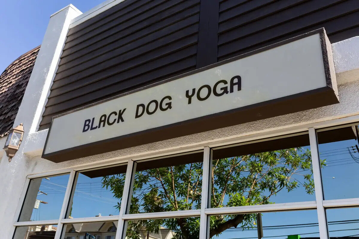 Black Dog Yoga