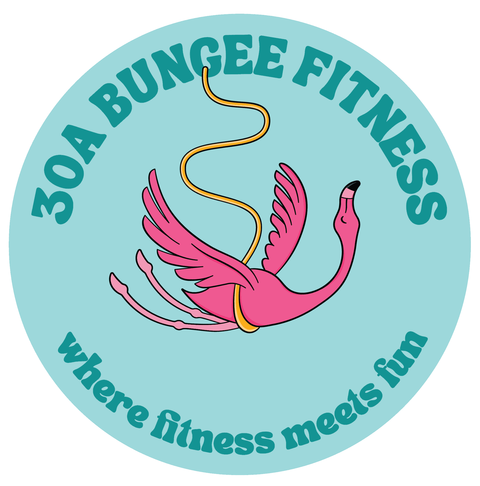 30A Bungee Fitness