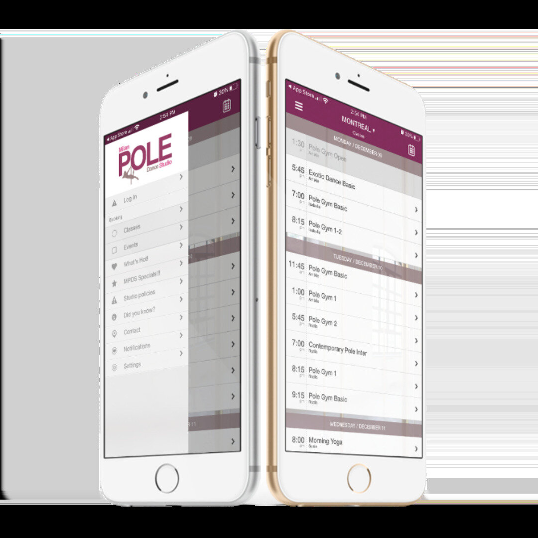 Milan Pole Dance Studio