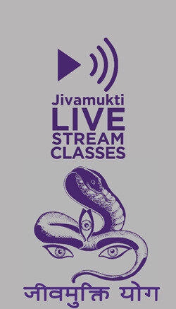 Jivamukti Yoga Berlin