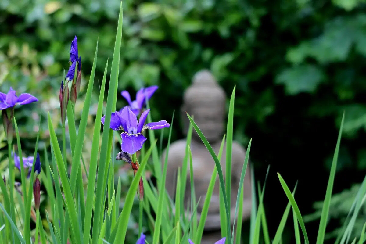 Madrona MindBody Institute