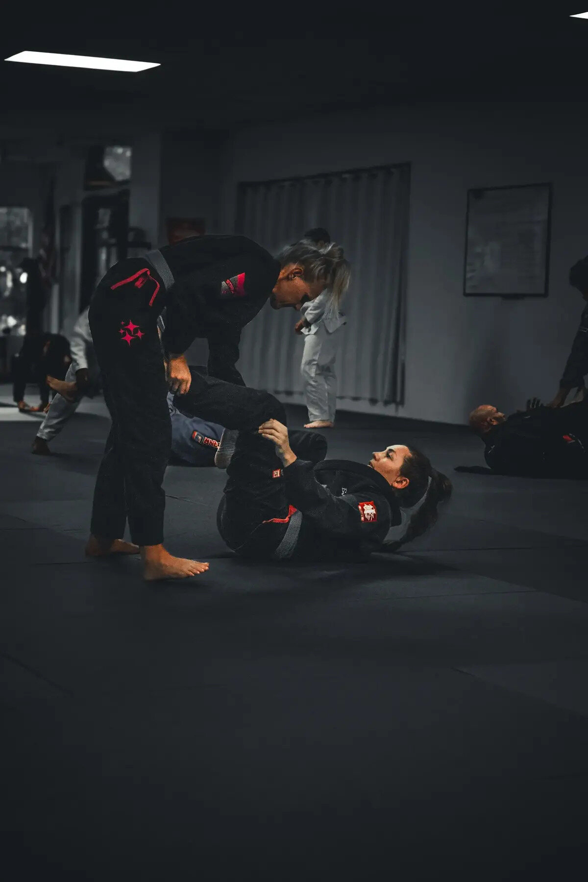 Allegiant Jiu-Jitsu