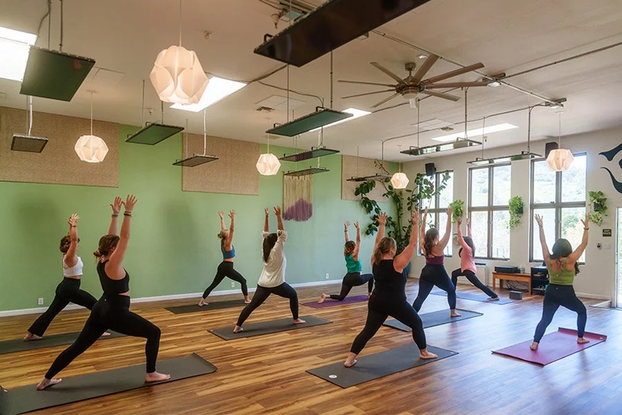 mindbodyresearch112