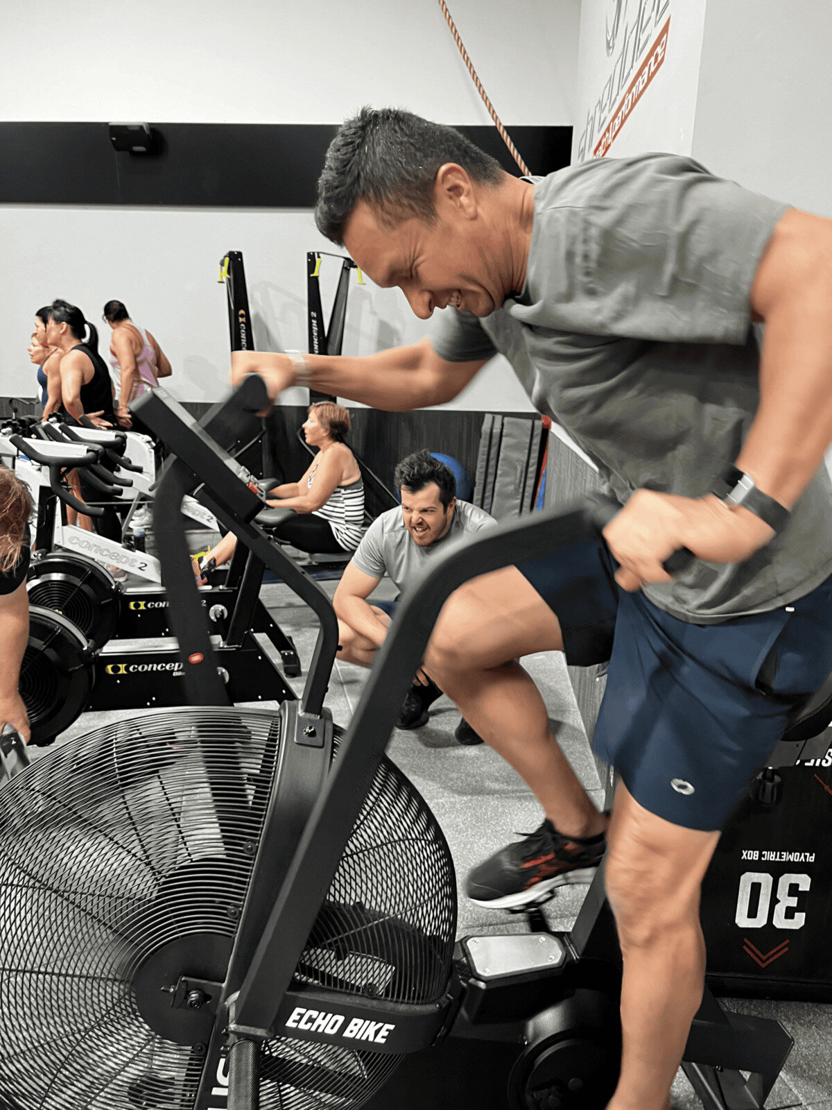 Shredded Health & Performance