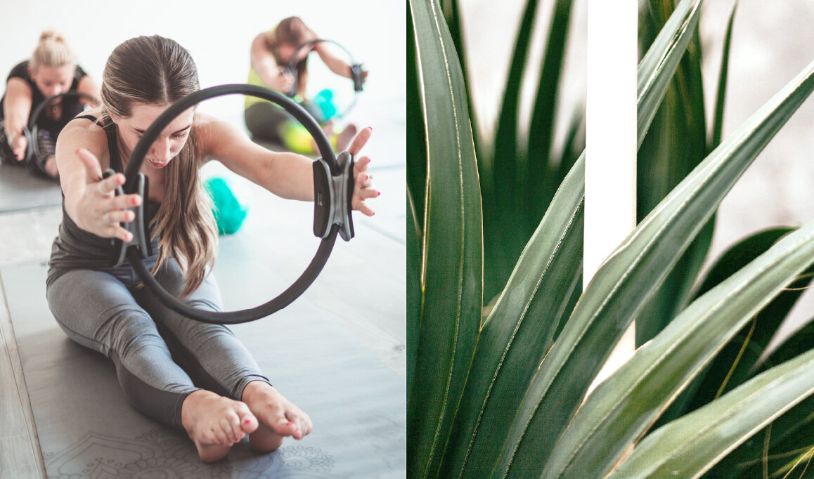 Wellness Garden