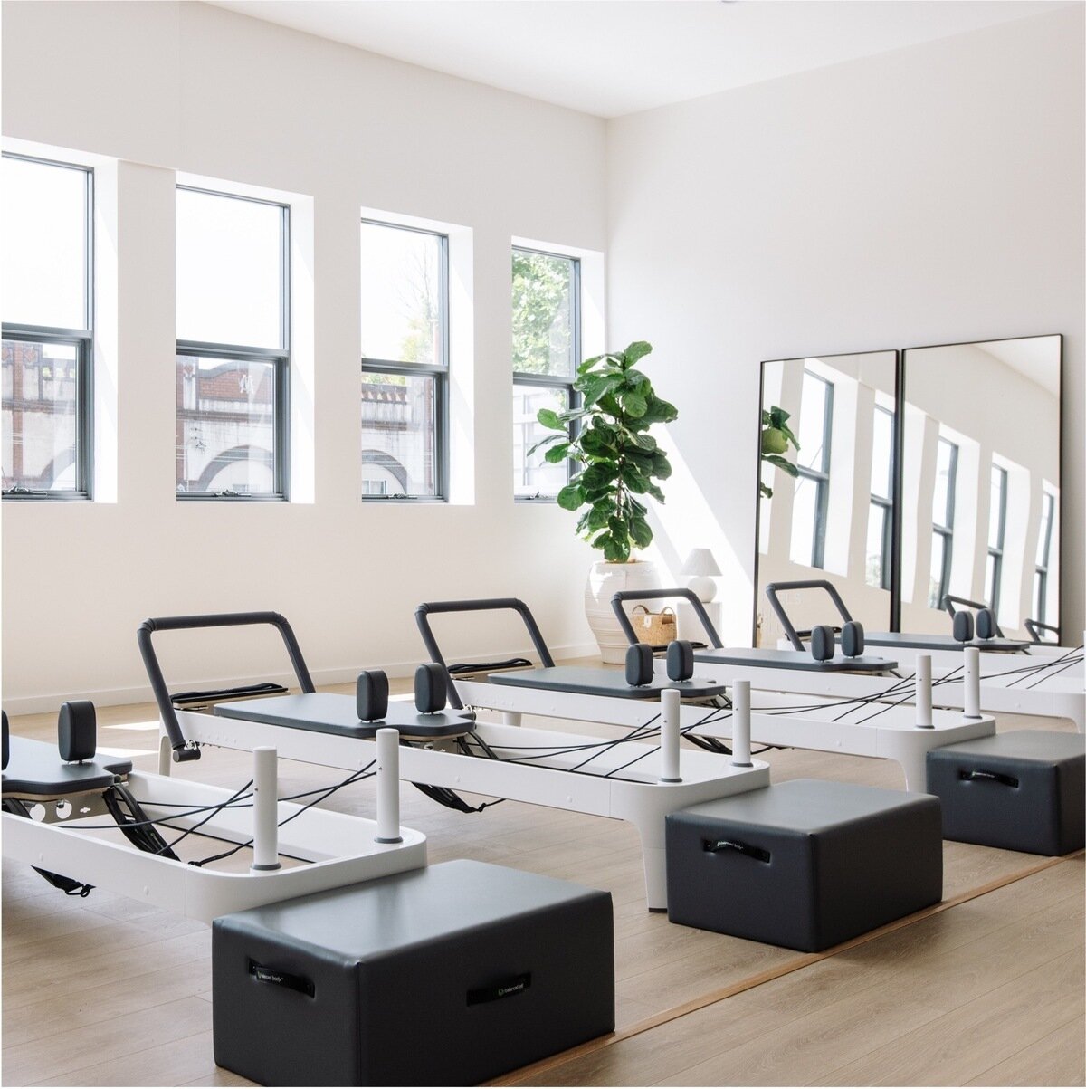 Fluidform Pilates Rosebery
