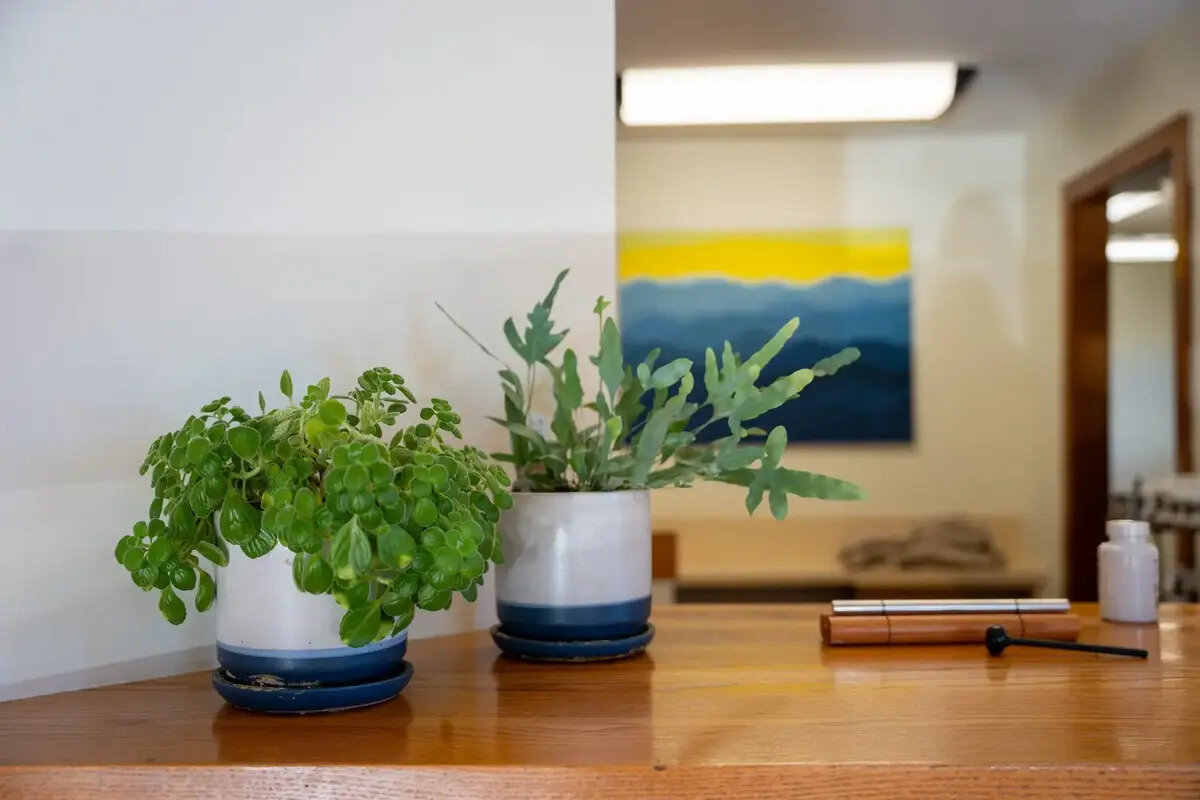 Mindful Wellness Space