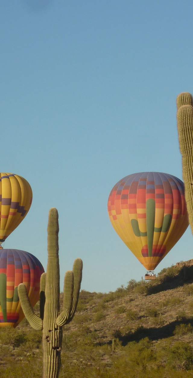 NXP Chandler Activity Center