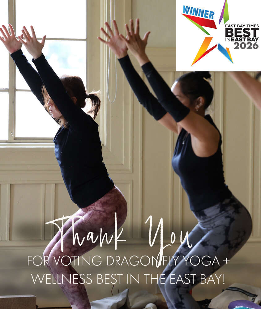 Dragonfly Yoga + Wellness