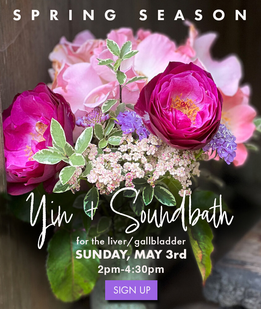 Dragonfly Yoga + Wellness