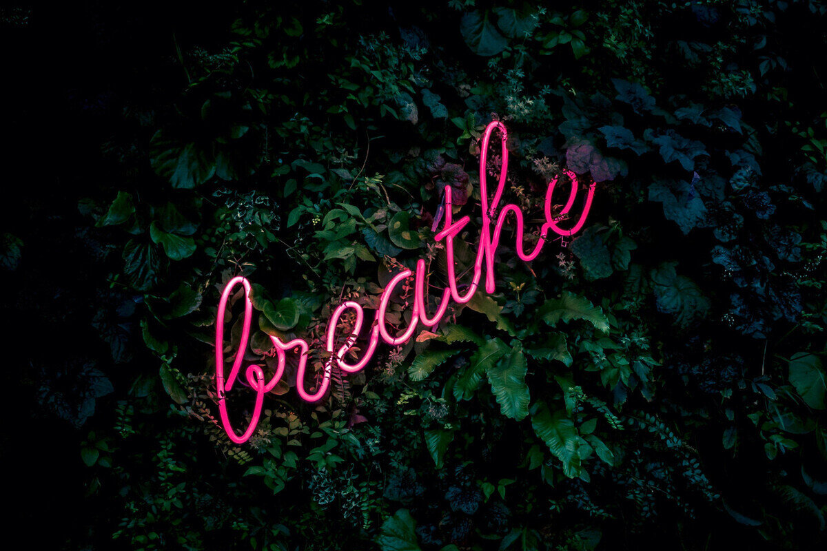 Dragon's Breath Yoga