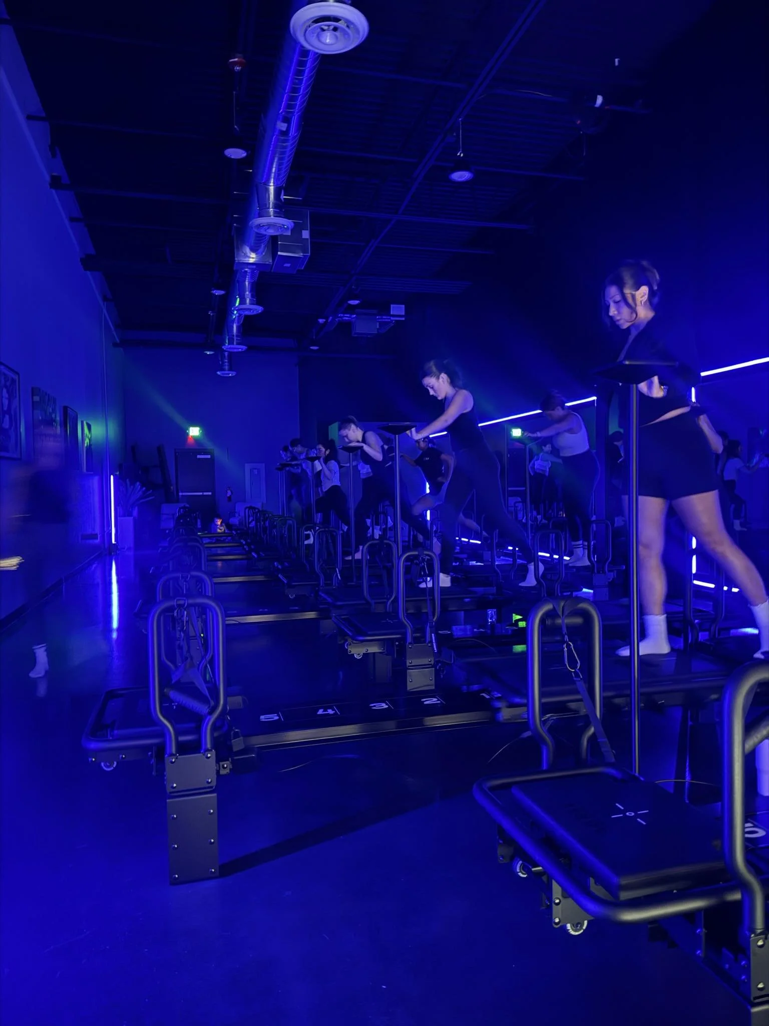 bluecarrot Athletica + Wellness