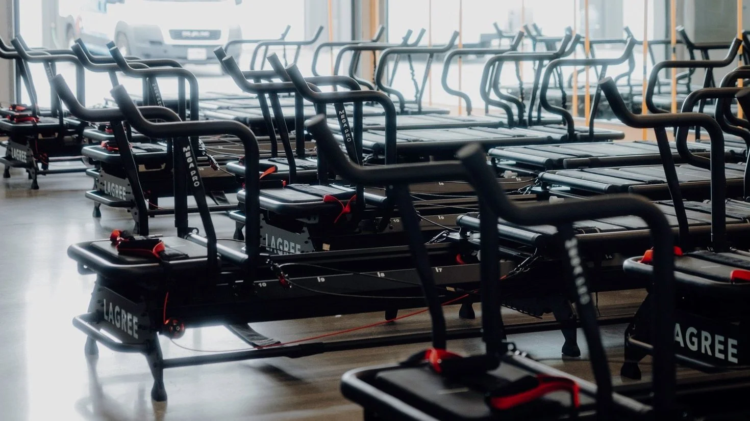 Scorch Fitness