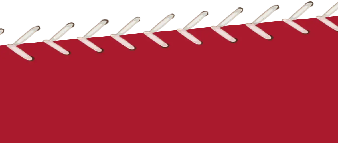 Gradum Gswing Centennial