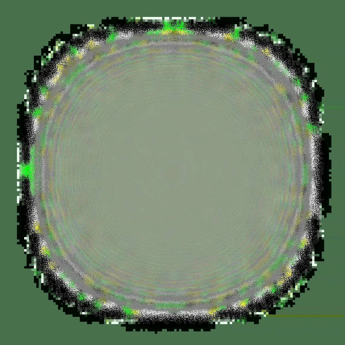 Myoset