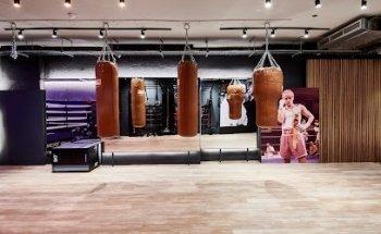 Eqvvs Training