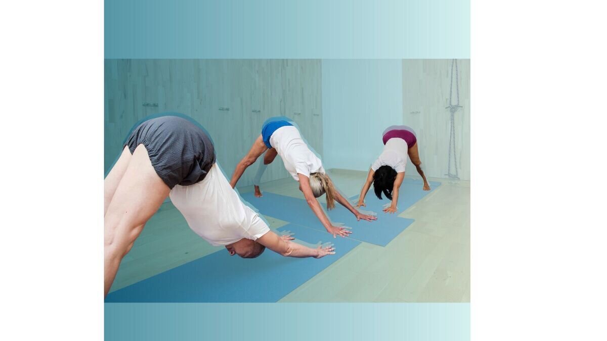 SAMYAMA Yoga IYENGAR® 15eme Paris