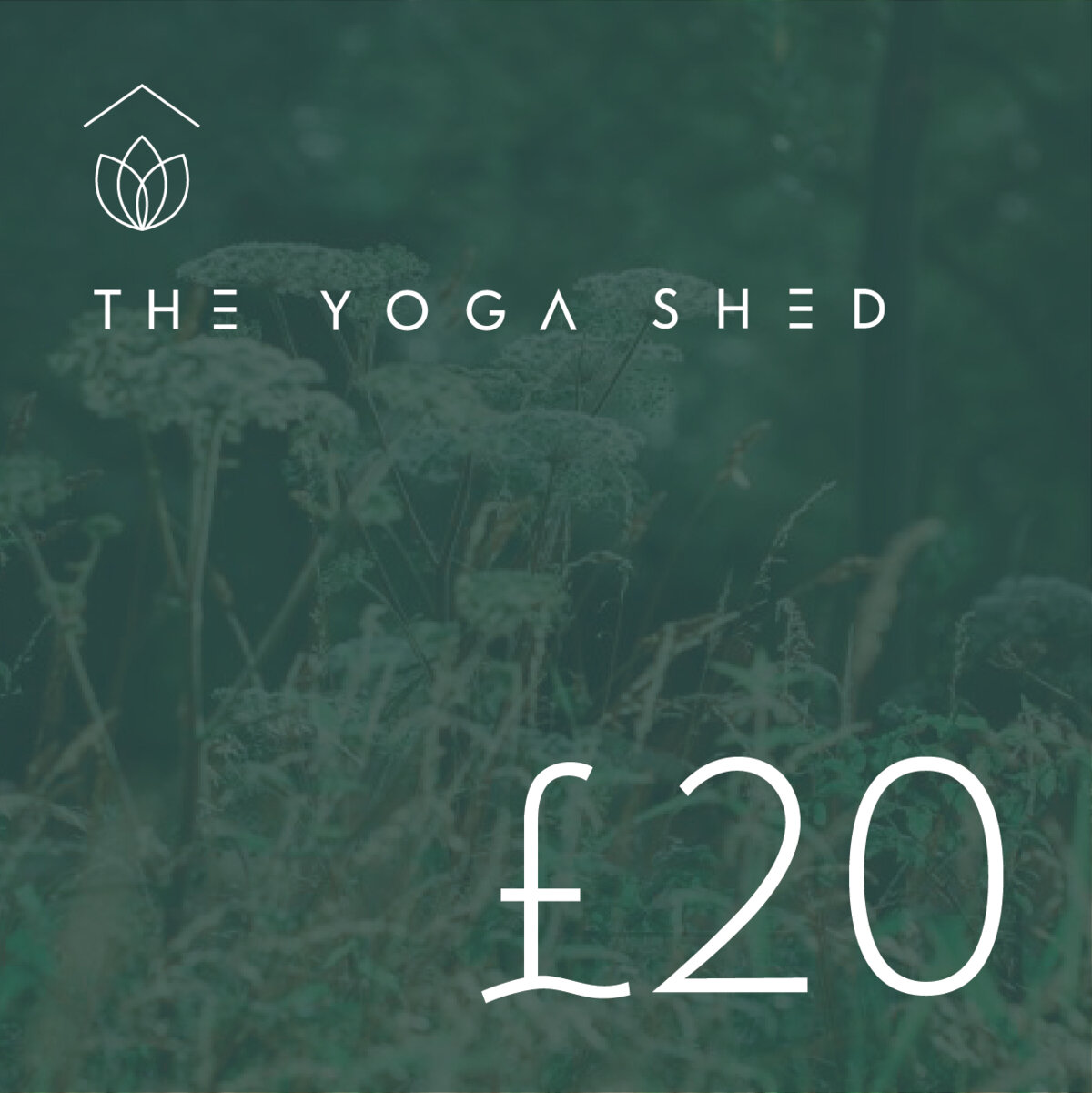The Yoga Shed