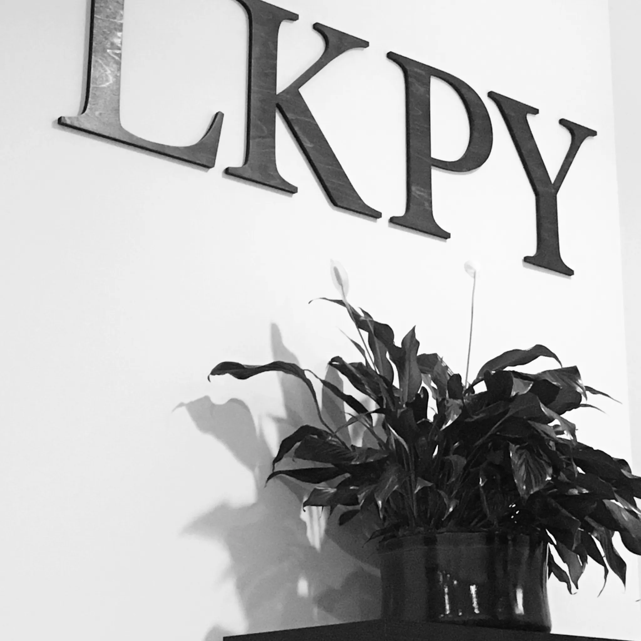 Lyn Kehoe Power Yoga