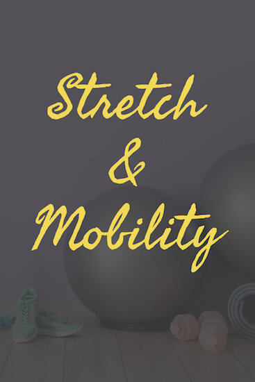 Moveology Fitness AZ