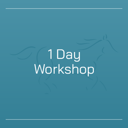 Wattle Creek Equestrian Centre